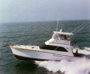 46'Sportfish Running
